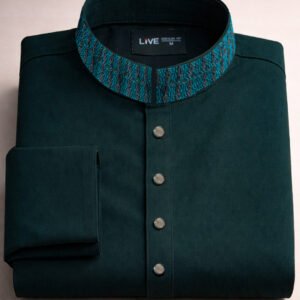 Minimalist Premium Embroidery Panjabi